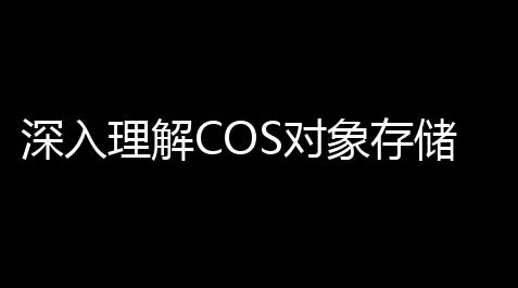 深入理解COS对象存储：构建你的数字资裸露态_影之诗单机
