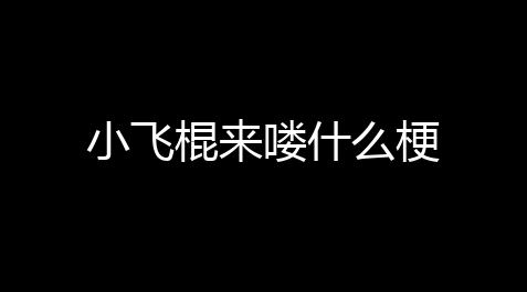 小飞棍来喽什么梗_fate grand order官方下载